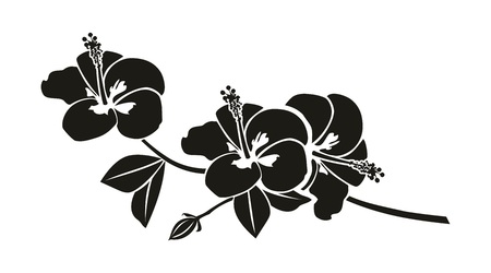 Hibiscus silhouetteのイラスト素材