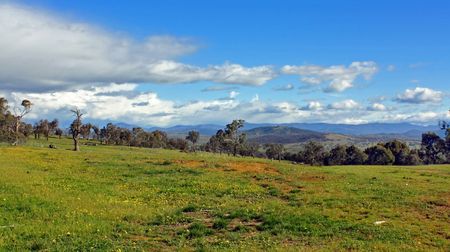 Rural Australian Landscapeの写真素材