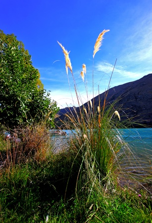 a lake nestled in the New Zealand mountainsの写真素材
