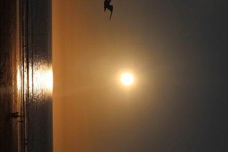 nequay fistral beach sunsetの写真素材