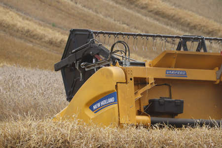 Farm machine cutting crop of harvest corn hay straw with yellow combined harvester