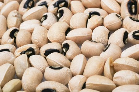 Black eyed peas for nutritious concept backgroundの写真素材