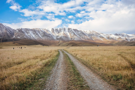 Mountain meadow under blue skyの写真素材