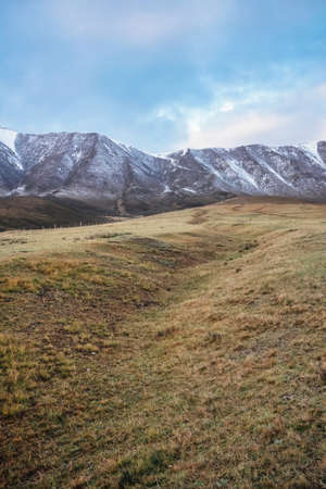 Mountain meadow under blue skyの写真素材