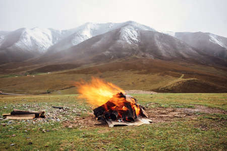 Grassland in front of snow mountainの写真素材