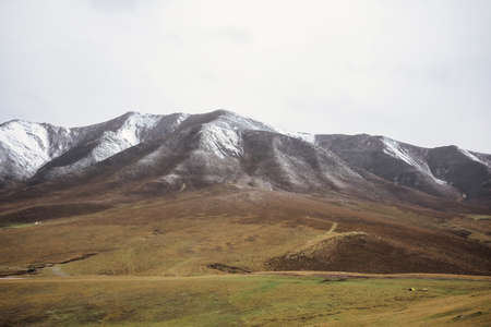 Grassland in front of snow mountainの写真素材