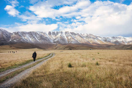 Grassland in front of snow mountainの写真素材