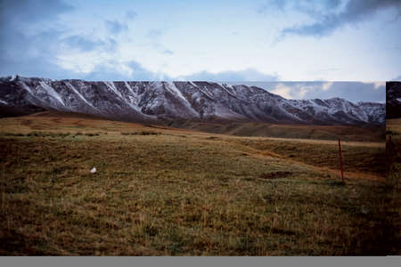Grassland under snow mountainの写真素材