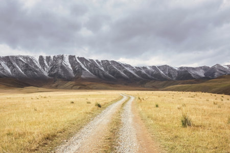 Grassland under snow mountainの写真素材