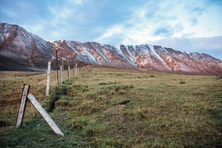 Grassland under snow mountainの写真素材