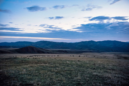 Grassland under mountains at sunriseの写真素材