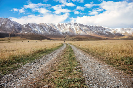 Grassland under snow mountainの写真素材