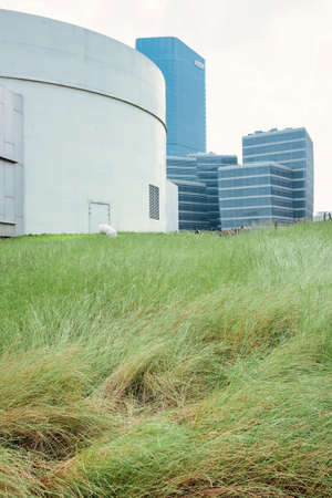 Grass and buildings under blue sky and white cloudsの写真素材
