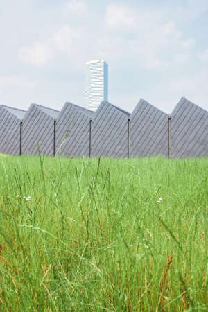 Grass and buildings under blue sky and white cloudsの写真素材