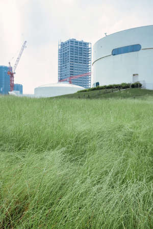 Grass and buildings under blue sky and white clouds