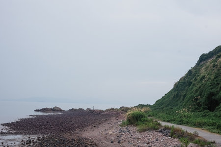 Coast of the sea in a foggy day in the summerの写真素材