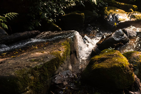Waterfall in the forest at Doi Inthanon National Park, Thailand