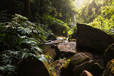 Waterfall in the rainforest of Doi Inthanon National Park, Thailand