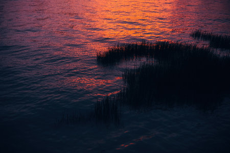 Sunset on the lake with reeds and reflection in water.