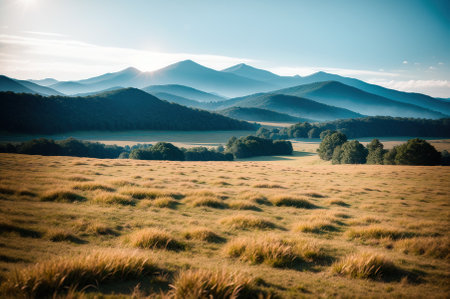 Mountain meadow in the morning light. Beautiful summer landscape.の素材