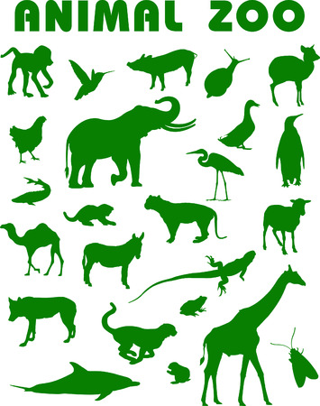 animalのイラスト素材