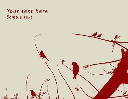 birdsのイラスト素材