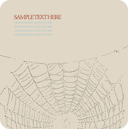 Spider webのイラスト素材