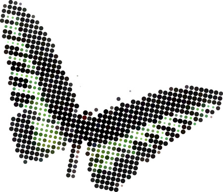 butterflyのイラスト素材