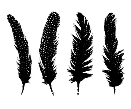 featherのイラスト素材