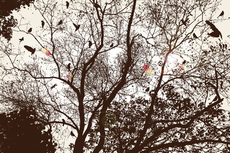 treeのイラスト素材