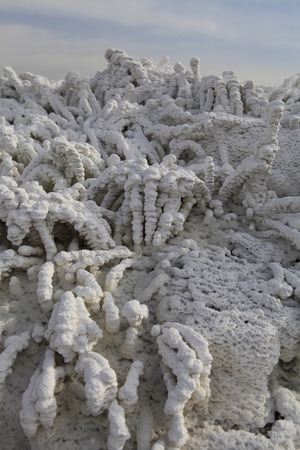 On January 19, 2016, filmed in yanchi County, in yuncheng city, Shanxi province, such as Glauber's salt with Crystal coral.のeditorial素材