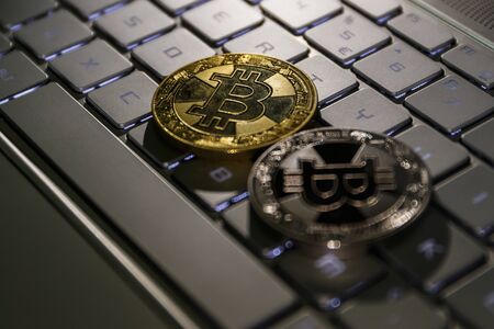 Bitcoin in Gold and Silverの写真素材
