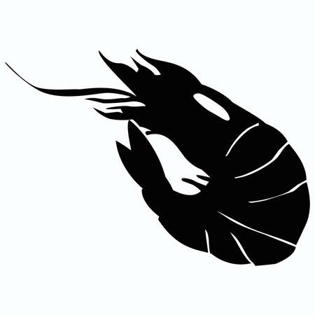 abstract shrimpの写真素材