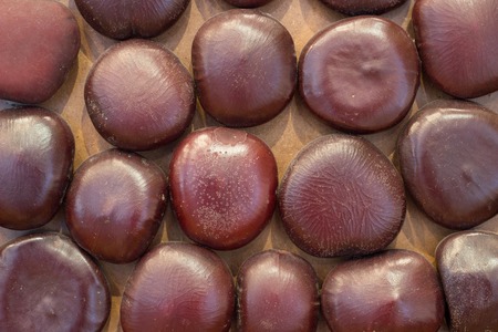 grain wooden backgroundの写真素材