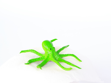 Green plastic squidの写真素材