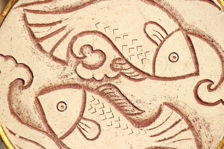 Fish on rocky groundの写真素材