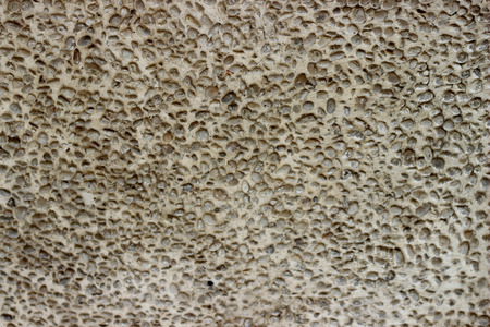 cement walkway floor