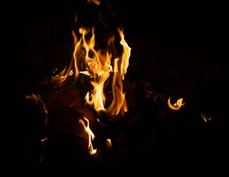 Fire flame caused by burning of wood on a black background