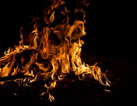 Fire flame caused by burning of wood on a black background