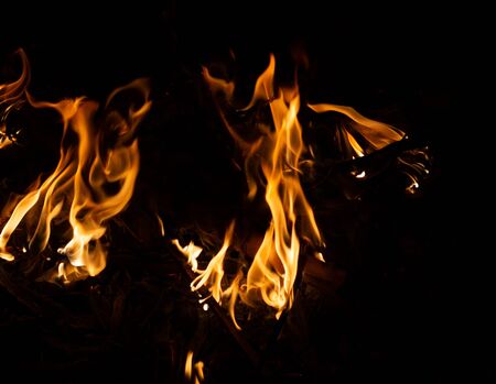 Fire flame caused by burning of wood on a black background