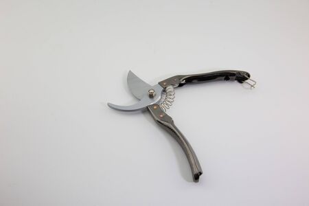 Steel branch shearsの写真素材