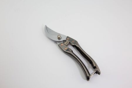 Steel branch shearsの写真素材