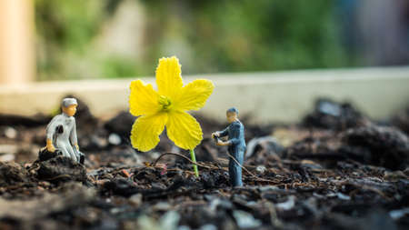 Miniature people team works to inspect and plant trees for a green world project. (We plant trees for a better world)の写真素材