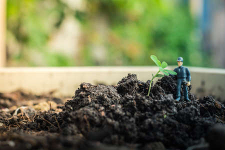Miniature people team works to inspect and plant trees for a green world project. (We plant trees for a better world)の写真素材