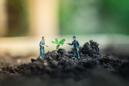 Miniature people team works to inspect and plant trees for a green world project. (We plant trees for a better world)の写真素材