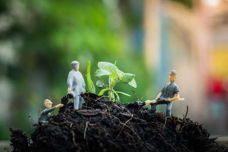 Miniature people team works to inspect and plant trees for a green world project. (We plant trees for a better world)の写真素材