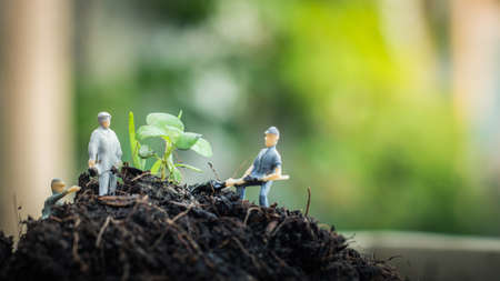 Miniature people team works to inspect and plant trees for a green world project. (We plant trees...
