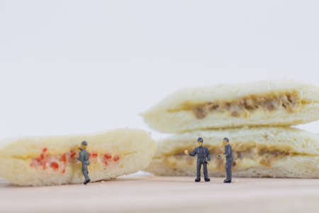 Miniature people team checks the quality of sandwich bread on white backgroundの写真素材