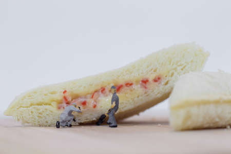 Miniature people team checks the quality of sandwich bread on white backgroundの写真素材