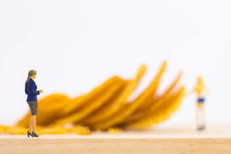 Miniature people, Female businessmen choose female models as a presenter for potato chips (food concept)の写真素材